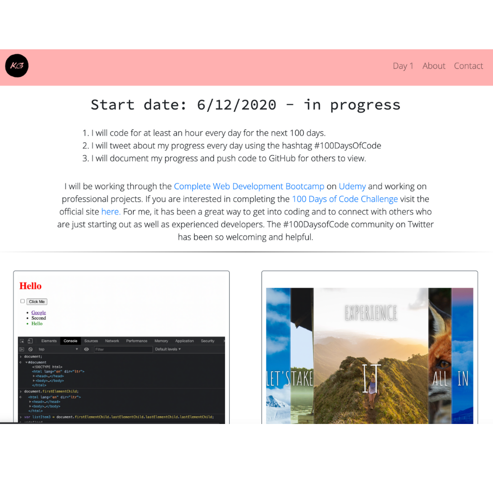 100-days-of-code-project-page