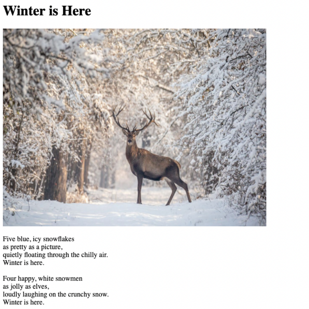 Wnter-Is-Here-Poem